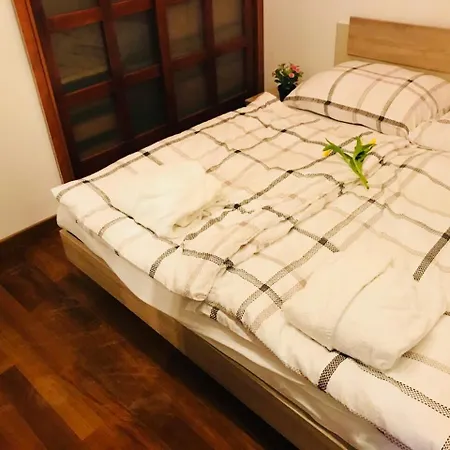 Panorama Duna Pest *