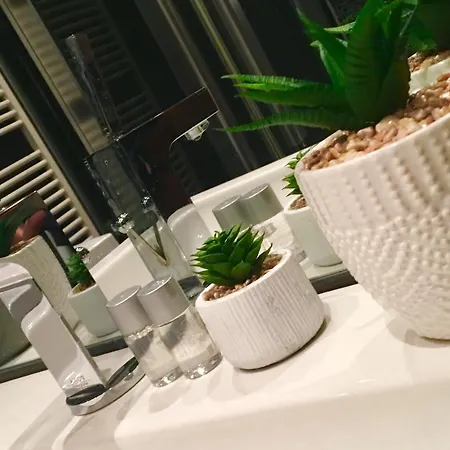 Panorama Duna Pest *